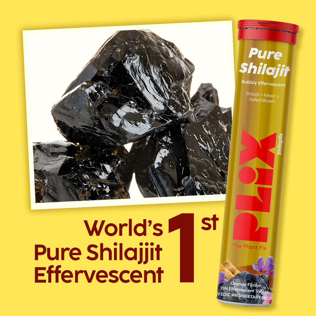 Shilajit Effervescent with 500mg Pure Himalayan Shilajit